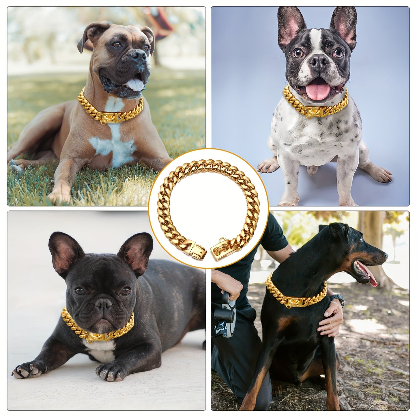 Stainless steel dog collar with gold chain and buckle, waterproof and anti-chew.