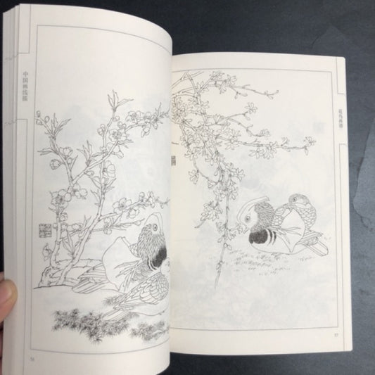 Chinese version of Flower and Bird Painting Manual with Line Drawings