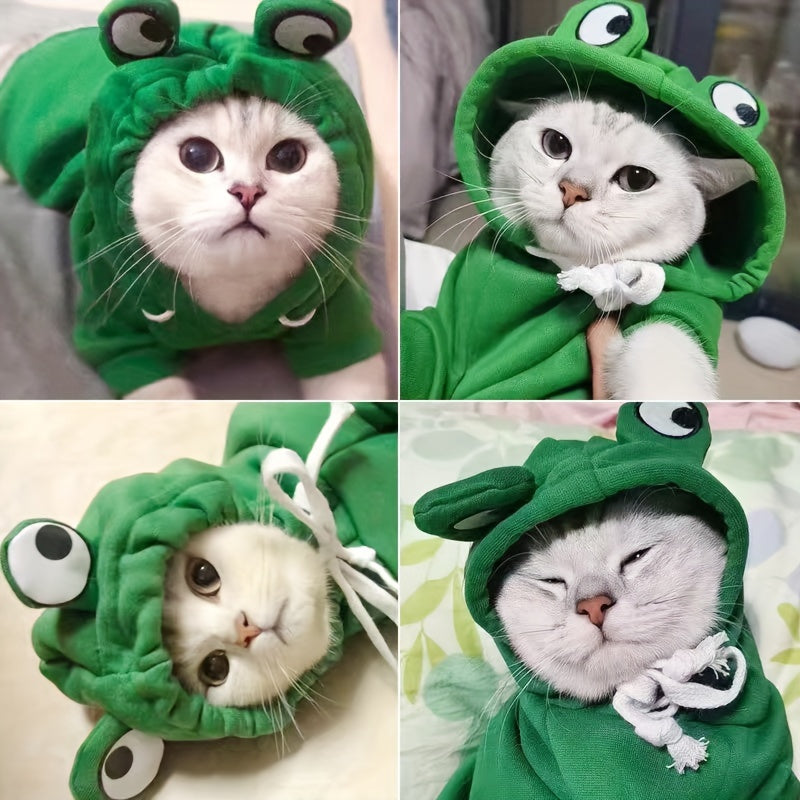 Cute frog-themed hoodie for small cats, suitable for all seasons.