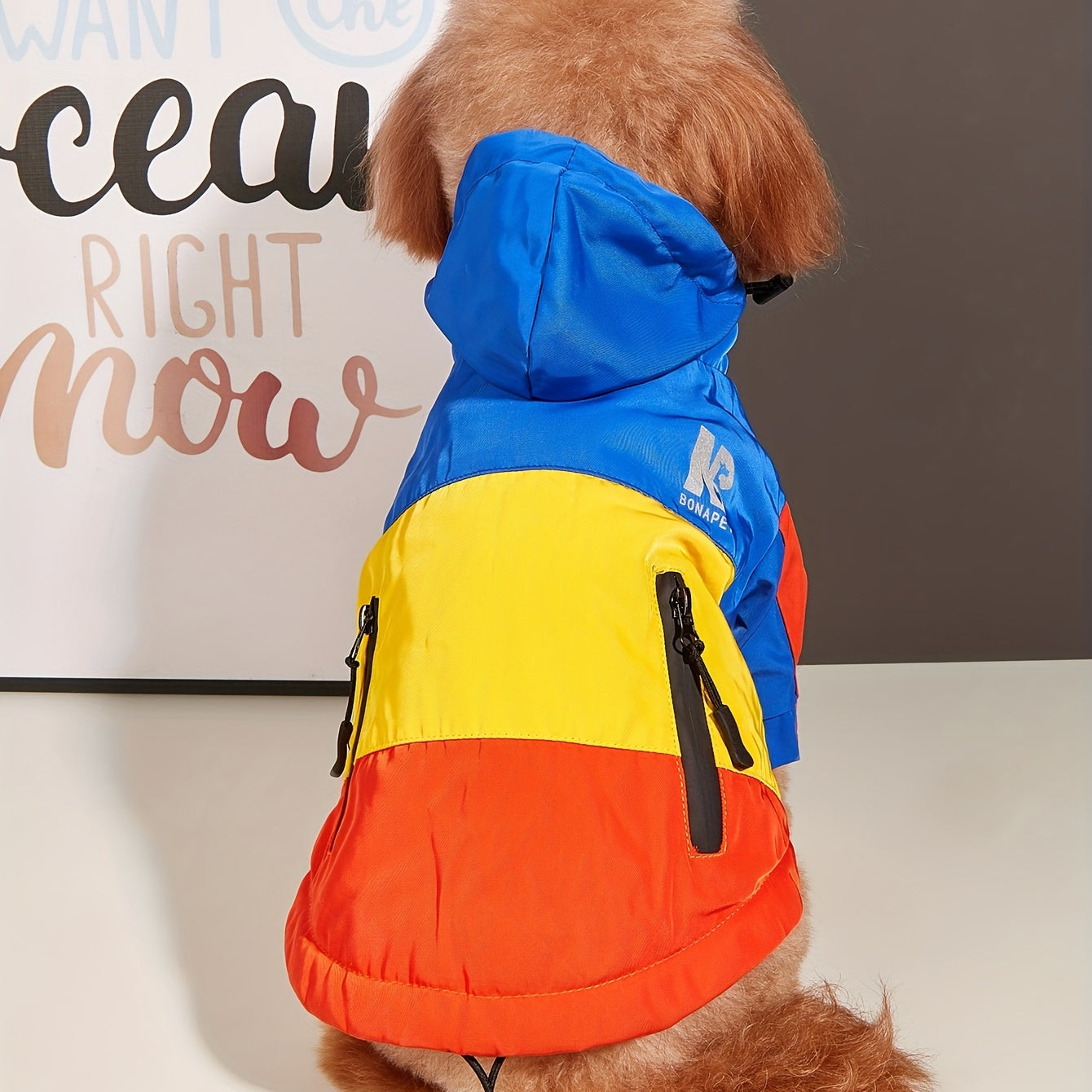 Reflective winter jacket for pets with color block design.