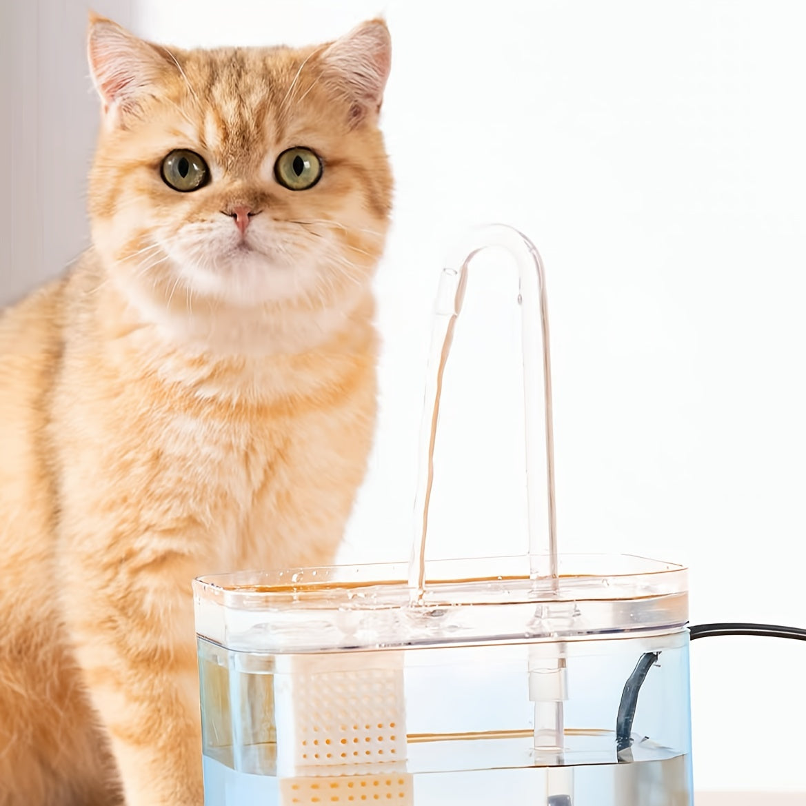 Transparent USB-powered automatic pet water fountain for indoor dog and cat hydration.