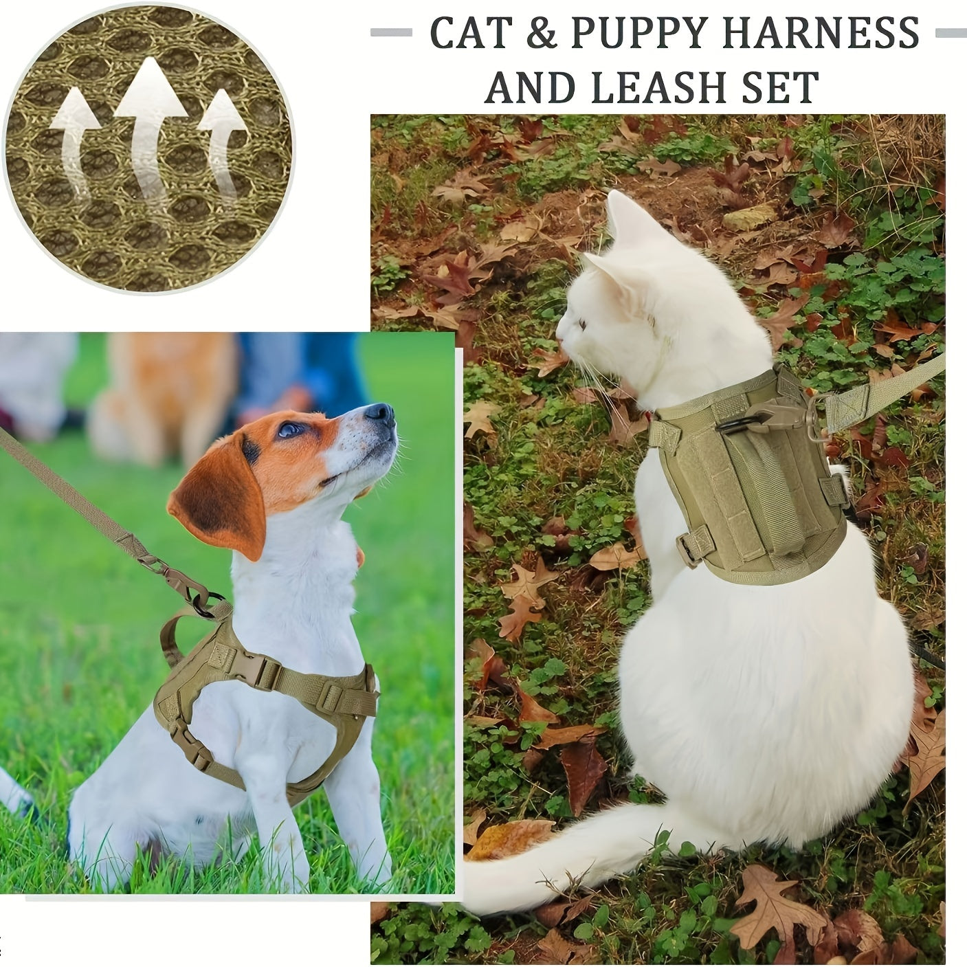 Cat harness set for walking with adjustable chest vest.