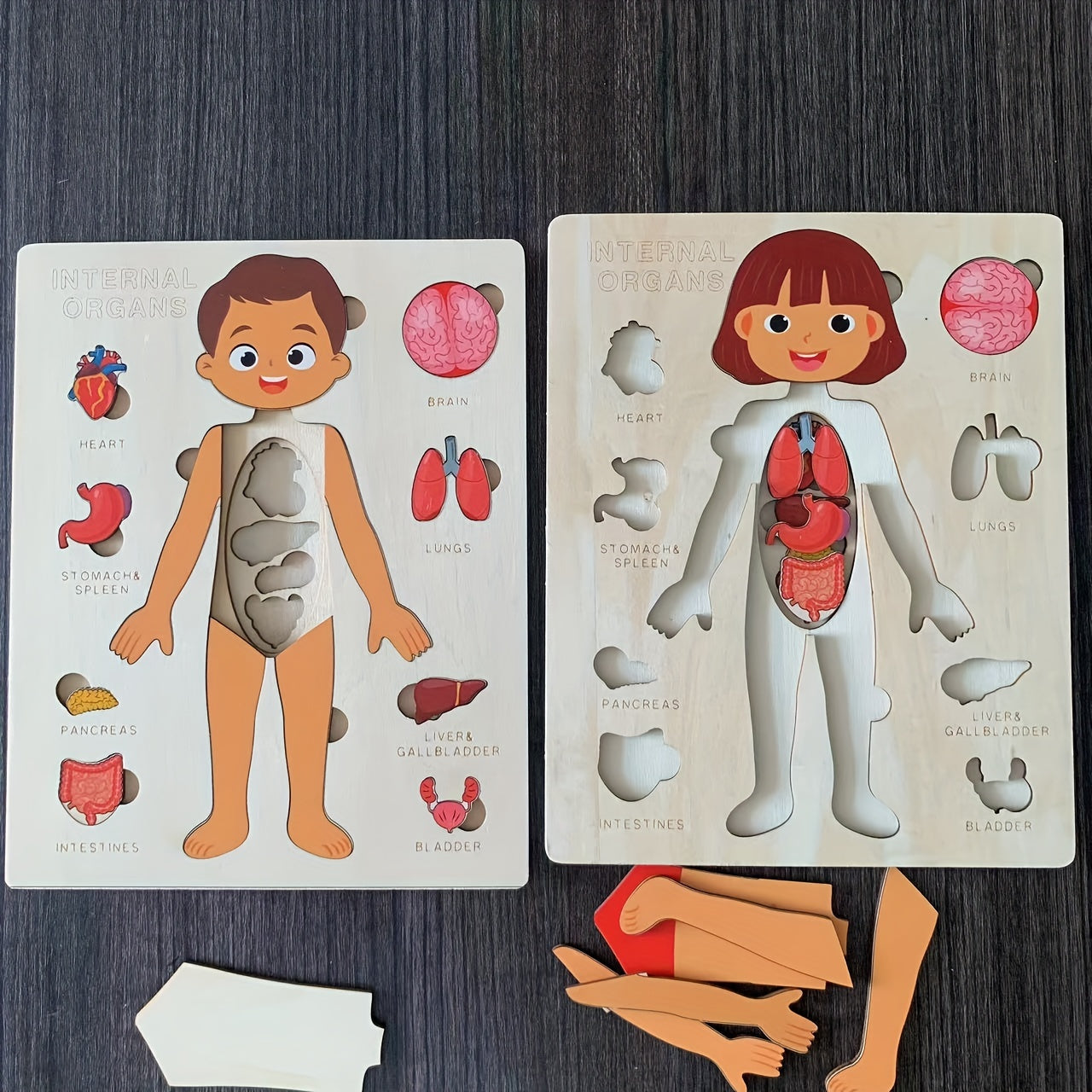 Children's Wooden Puzzle of the Human Body, Educational Tabletop Toy for Early Childhood Development, Encourages Parent-Child Interaction, Perfect for Mother and Baby Bonding, Ideal Toy for Children