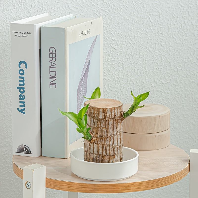 The Brazilian wood tray includes a mini white ceramic saucer for pots, which can be used for office desk decorations, as a base for flower pots, or as office decor. Plants are not included.