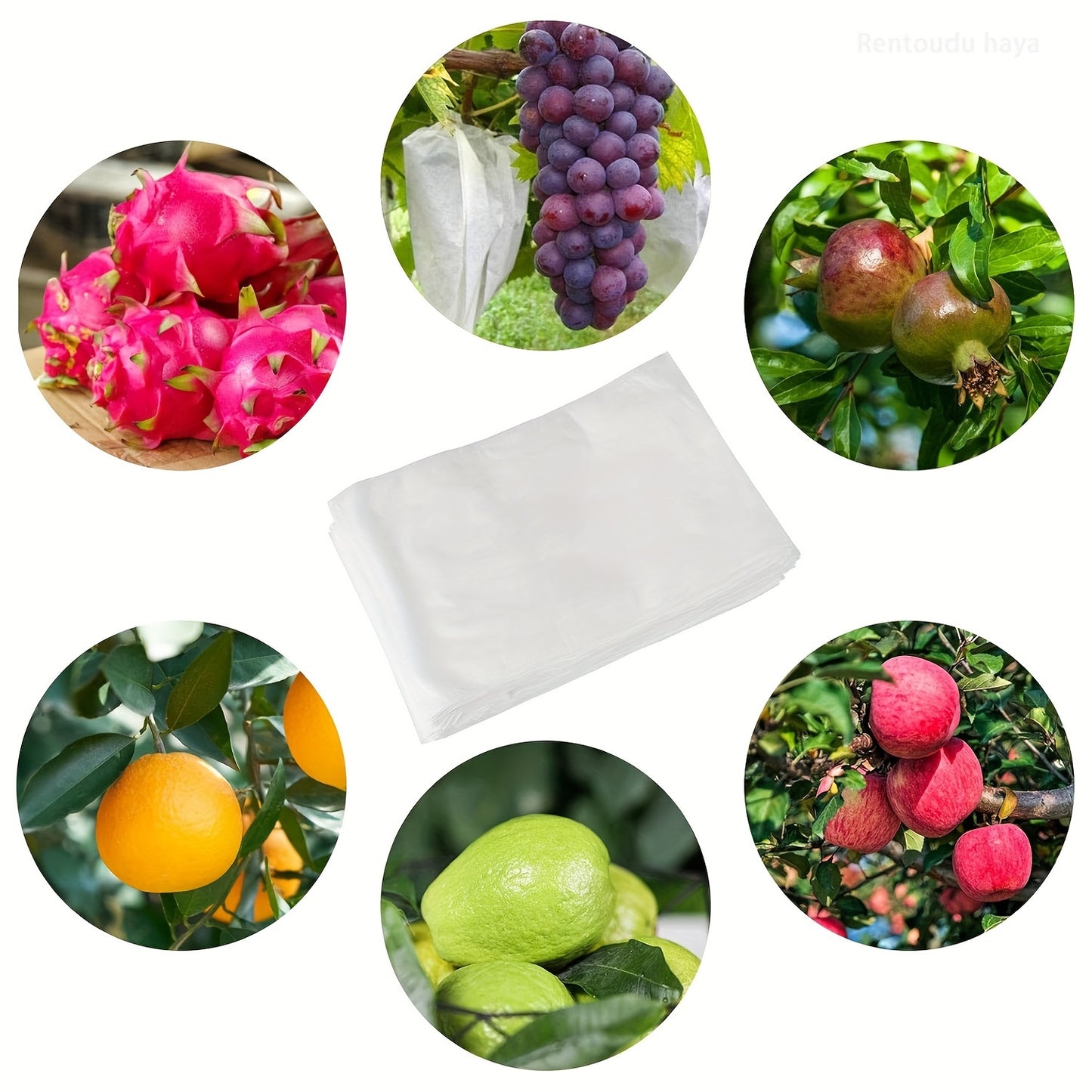 100 pieces of Cordón Protection Bags for Fruits and Vegetables, Garden Pest Control, Anti-bird, Home Dustproof Bags - 24 x 38 cm.