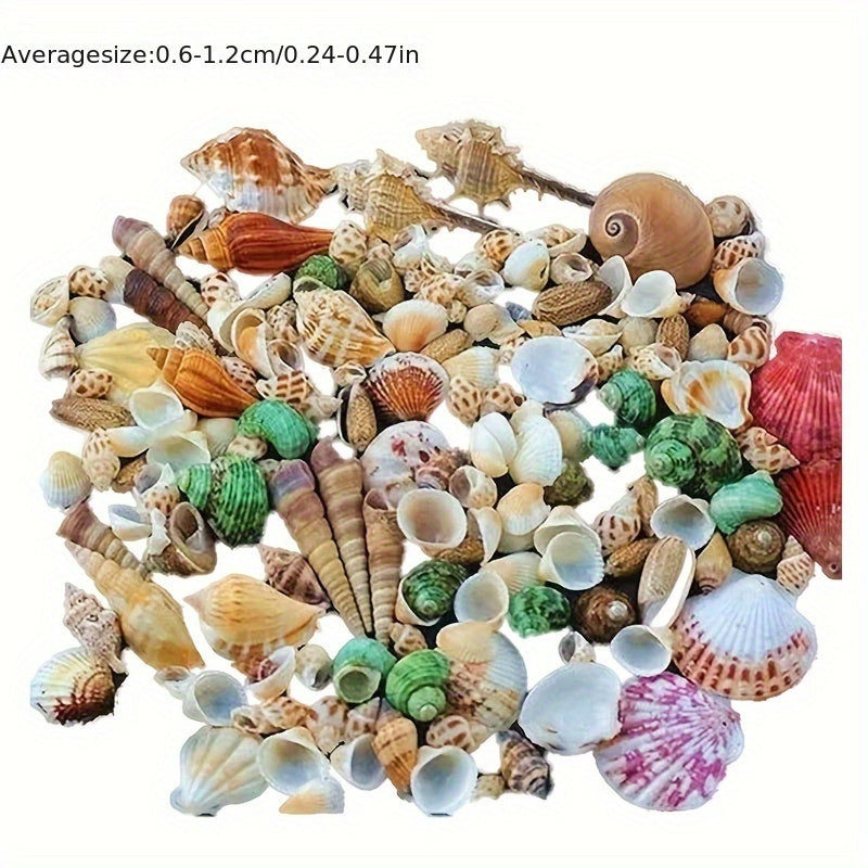 Assorted sizes 0.6cm-1.2cm Natural Conch Shells, 100/300/600pcs for aquariums, suitable for various fish species