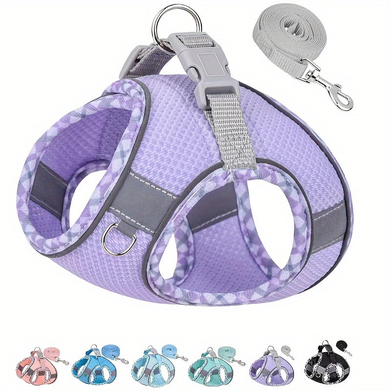 Breathable pet harness with leash, perfect for easy walks.