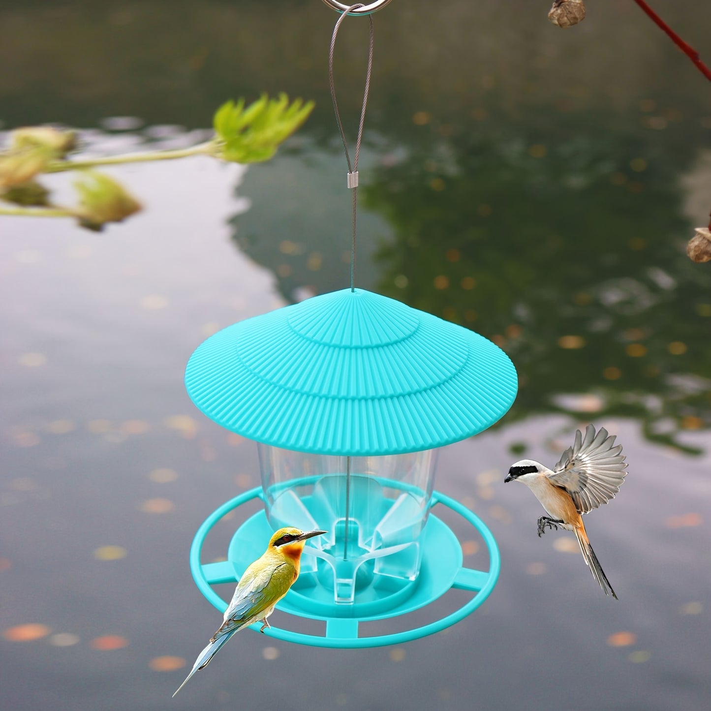 Outdoor hanging bird feeder with automatic features for hummingbirds and wild birds in your garden yard.