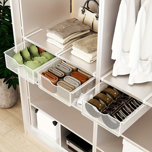 A compact underwear organizer with pull-out hanging storage for bras, socks, and panties. Features a polished metal finish and can be used as a portable closet drawer divider.