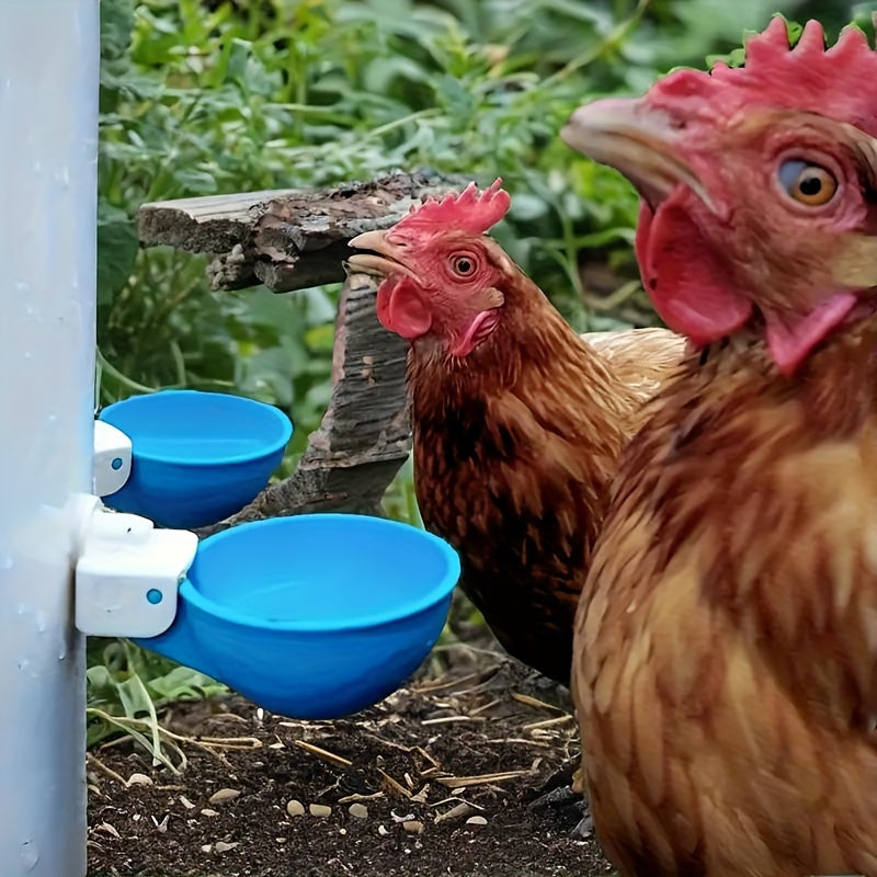 6 large blue automatic chicken water cups for ducks, geese, turkeys, and rabbits.