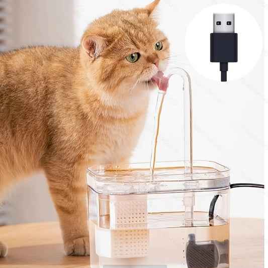 Transparent USB-powered automatic pet water fountain for indoor dog and cat hydration.