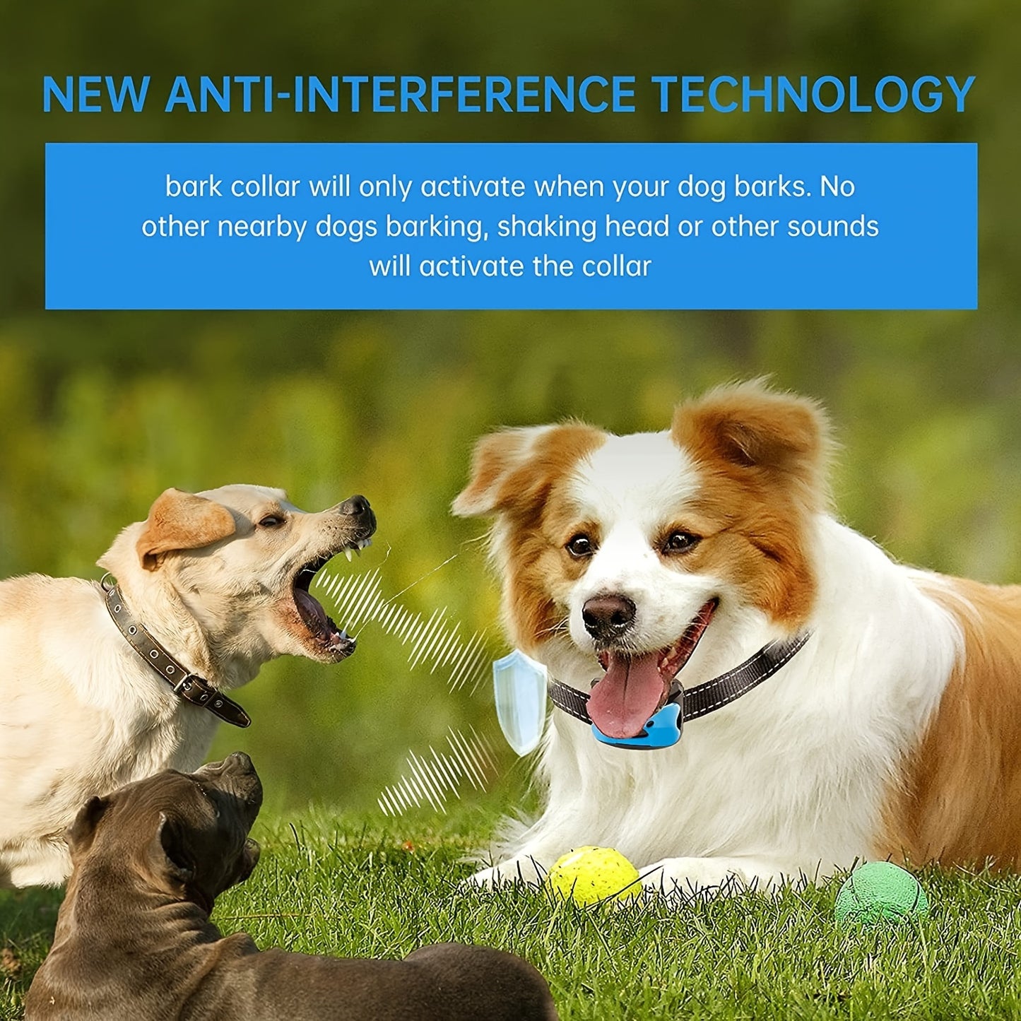 Rechargeable anti-barking dog collar with vibration training mode, USB charging, lithium polymer battery, and ≤36V operating voltage.