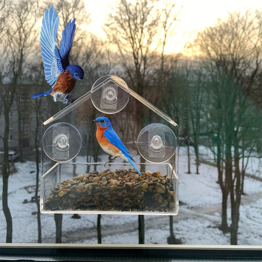 Use this Acrylic Window Bird Feeder to Bring Wild Birds to Your Home!