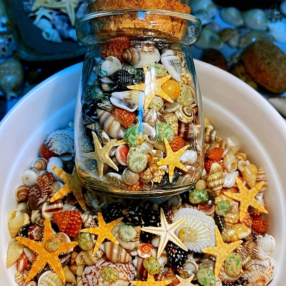 400 natural conch shells: 6 types of ultra small shells in glass jar