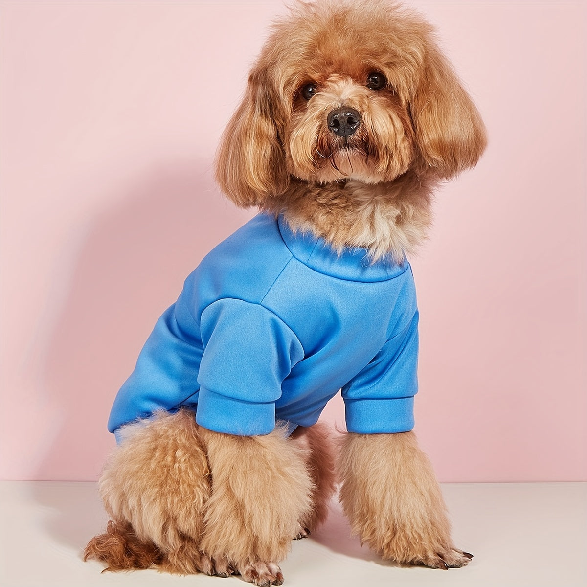 Quick Dry Pet Tee for Summer Parties - Cute and Casual