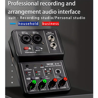 BOMGE Q12 2-Channel Portable Audio Interface, Professional USB MIXER for Guitar Recording, Compatible with PC, USB Powered, ABS, Black