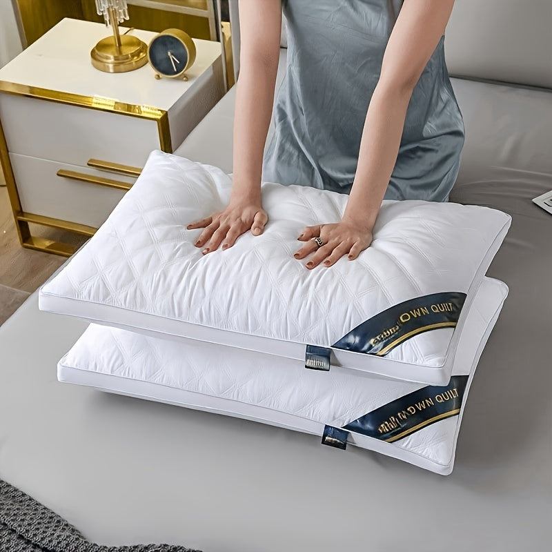 Two hypoallergenic 3D pillows with soft quilted zippered cervical support, breathable knitted polyester, machine washable, and multipurpose for adults, offering hotel-quality sleep.