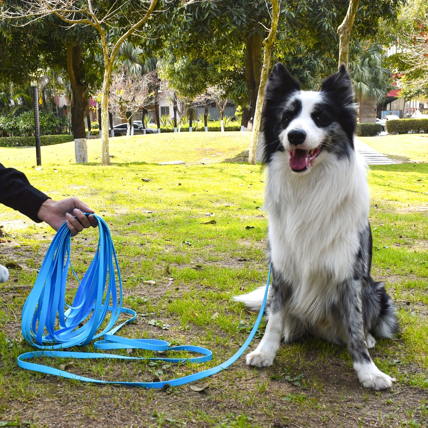 Durable Waterproof Dog Leash for Large, Medium, and Small Dogs.