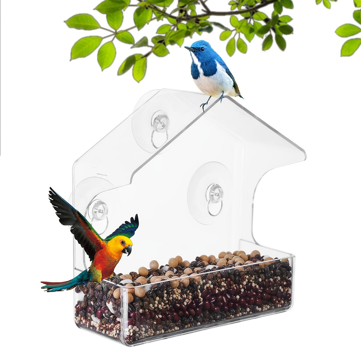 Durable Clear Acrylic Bird Feeder for Outdoor Wild Birds