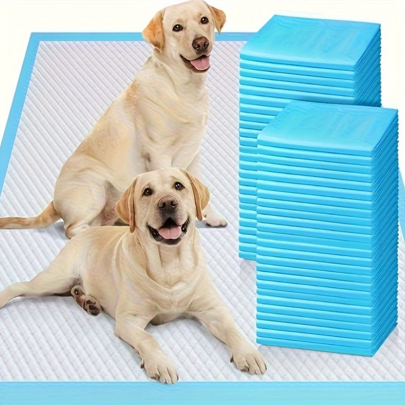 Lightweight disposable absorbent pads for cats and dogs, with waterproof and quick-dry features. Ideal for training puppies to use the bathroom. Available in 20/40/50/100 sheets. Great pet