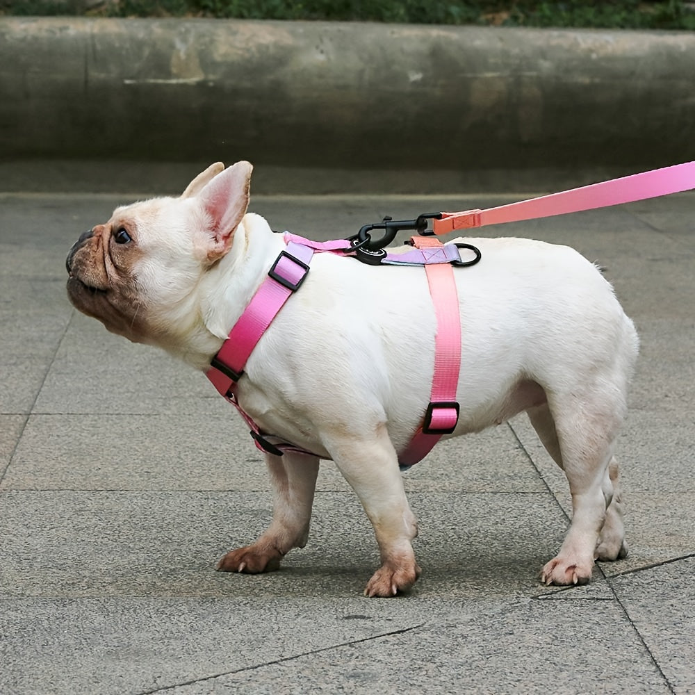 Adjustable and durable dog harness for small to medium dogs with gradient pastel design. Features secure buckle, handle, and polyester material. Ideal for outdoor activities. Hand-wash only.