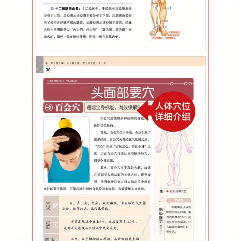 Colorful illustrated book on human body acupoints for common diseases, with introduction to Traditional Chinese Medicine and quick acupoint selection.