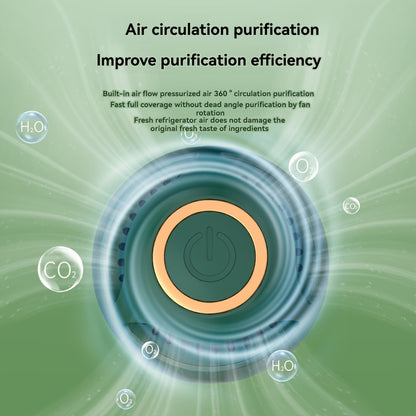 USB rechargeable ozone deodorizer and air purifier with lithium battery, ideal for household refrigerators and car power supply.