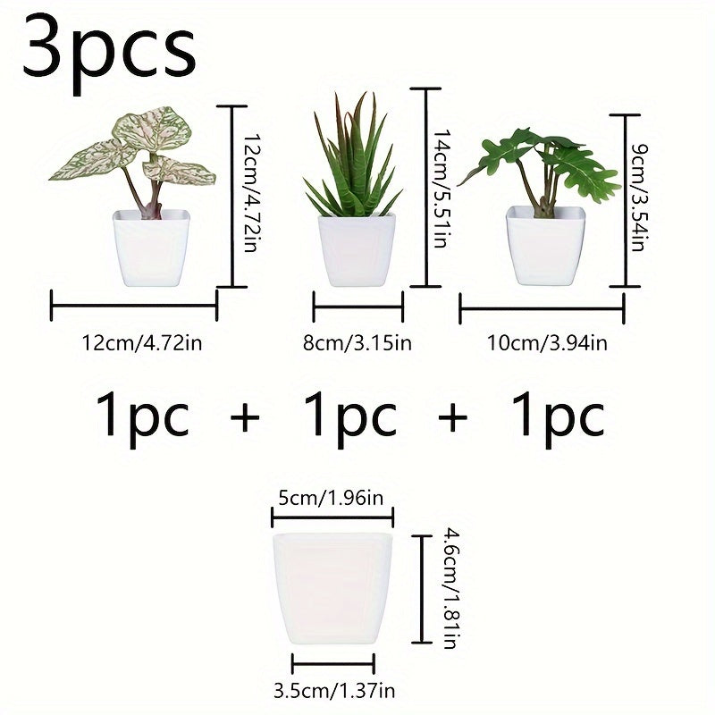 3 ta sun'iy abadiy sukulent bonsai uy bezash uchun, turli muhitlar uchun mos.