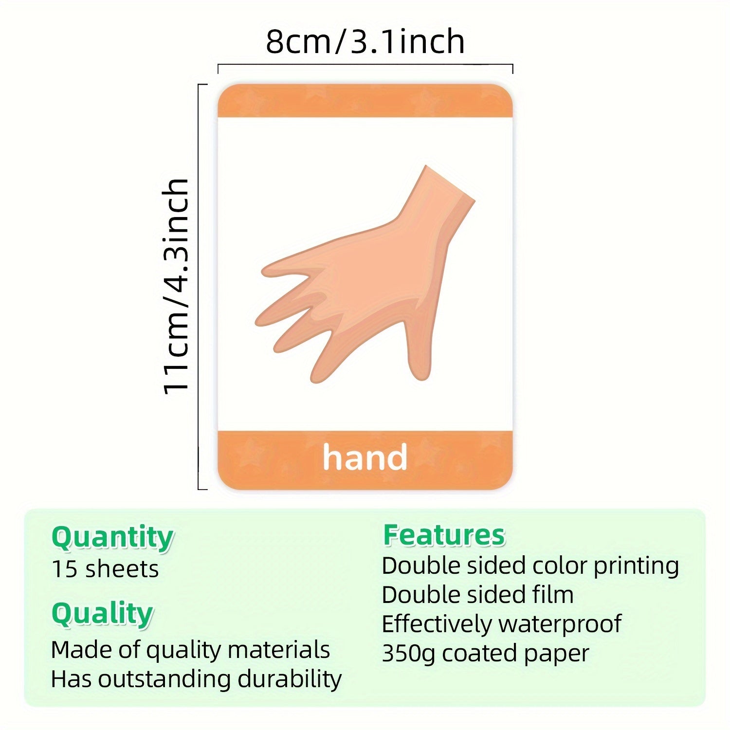 15 double-sided educational cards for recognizing 30 common body parts. Interactive learning toys for teachers and parents as basic teaching tools.