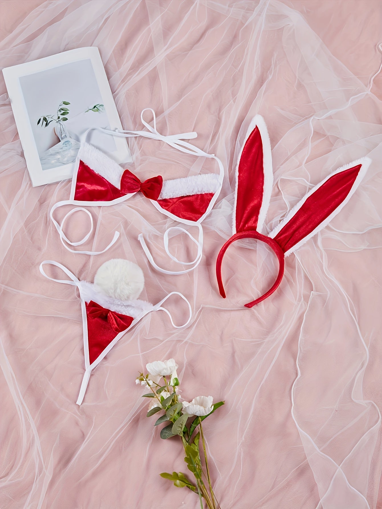 Stylish Rabbit Costume Set for Adult Role Play or Themed Parties: Headband, Bralette, Thong with Bunny Tail incl.