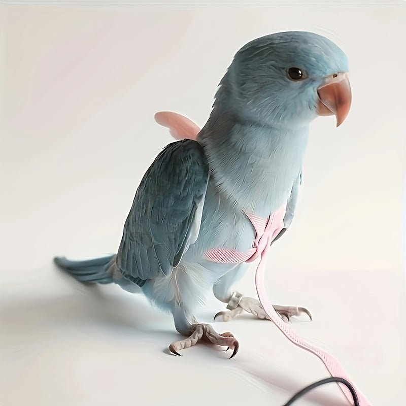 Adjustable pet parrot harness with anti-bite nylon rope and 182.88cm training leash for outdoor flying. Small parrot traction rope in pet supplies.