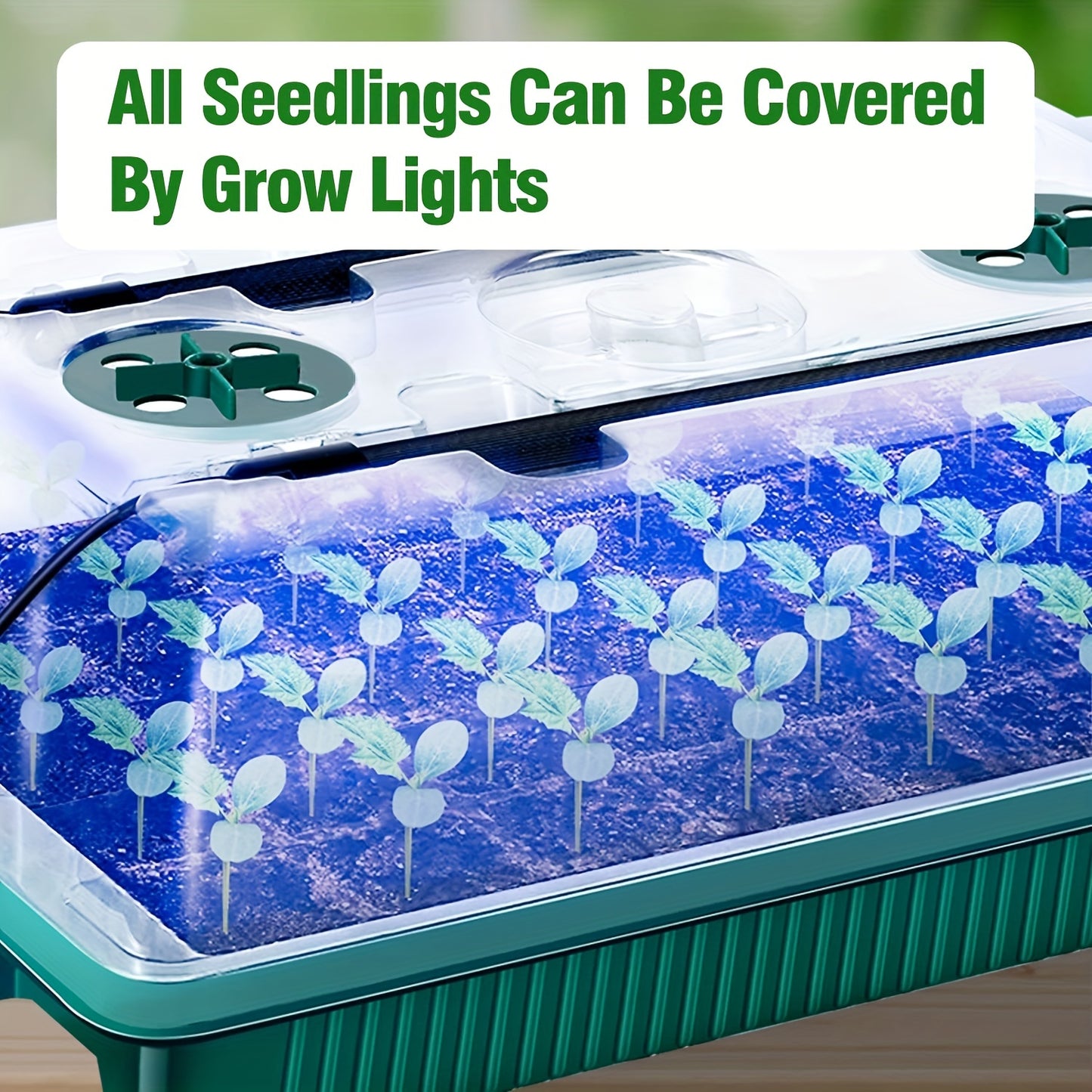 Seed starter kit with 2 trays, high dome, 80 cells, LED lights, timer, and 3 modes for indoor gardening.