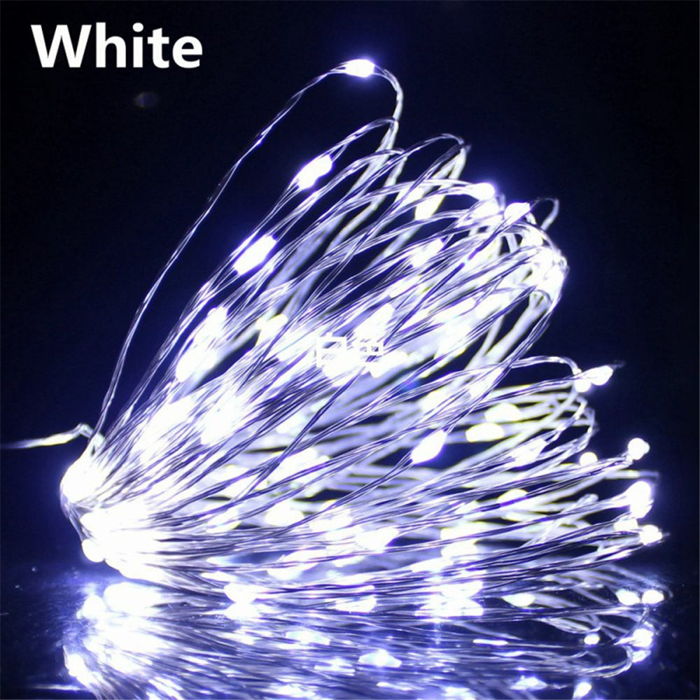 1pc USB Fairy String Lights with 20/50/100 LED bulbs, perfect for holiday, party, wedding, festival, and indoor decorations.