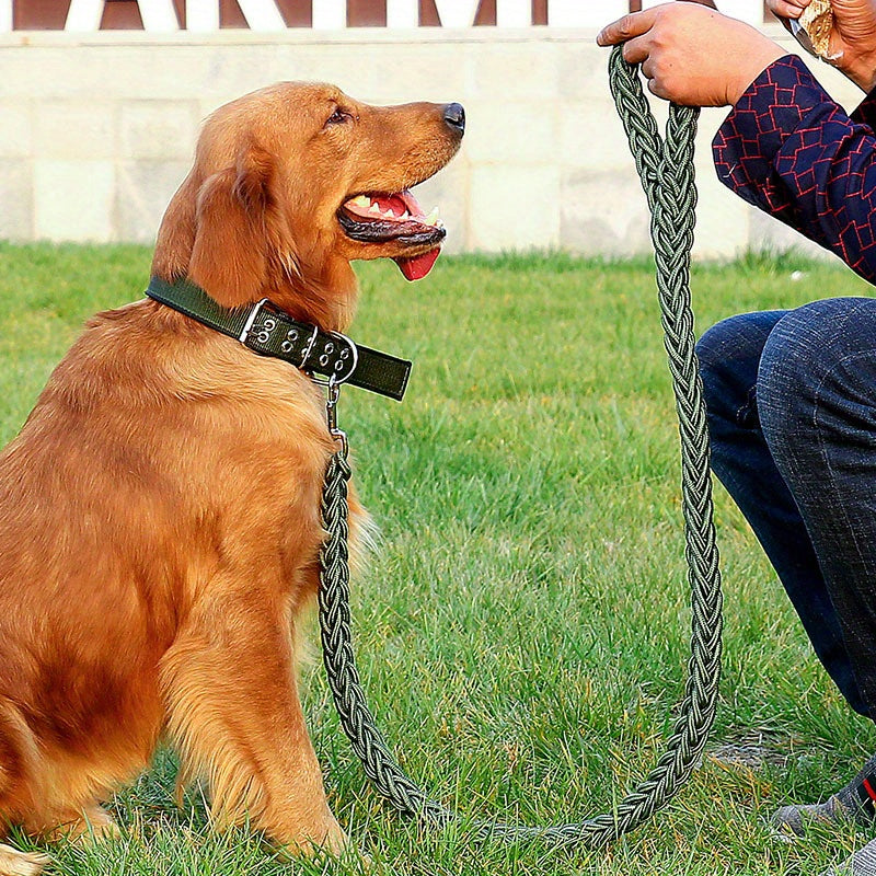 Heavy duty dog collar and leash set with braided training leash.