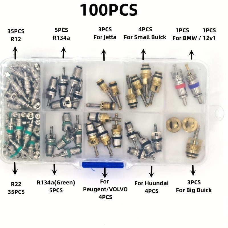 Automotive Air Conditioning Assortment Kit - 100pcs/box of R134A Car A/C Core Valves