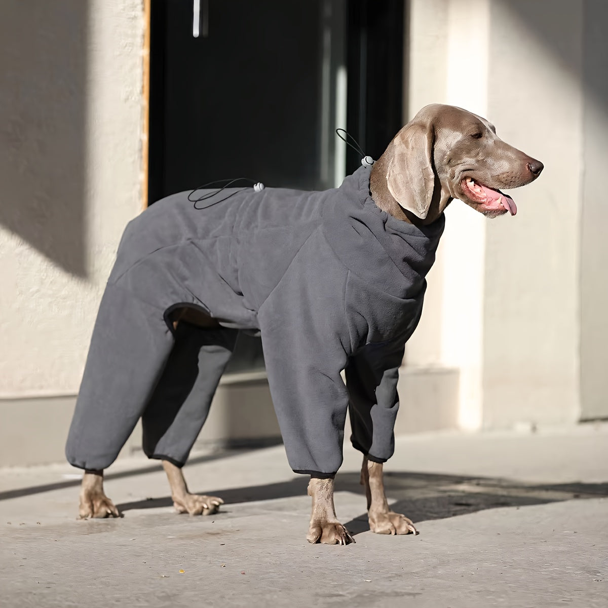 Warm fleece sweater for large dogs, hand-washable, ideal for Golden Retrievers & Labradors.