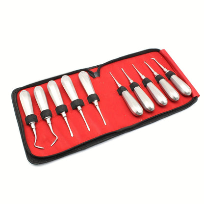 Tooth Extraction Set with 10pcs including Root Tip and Nail Stabilizers.