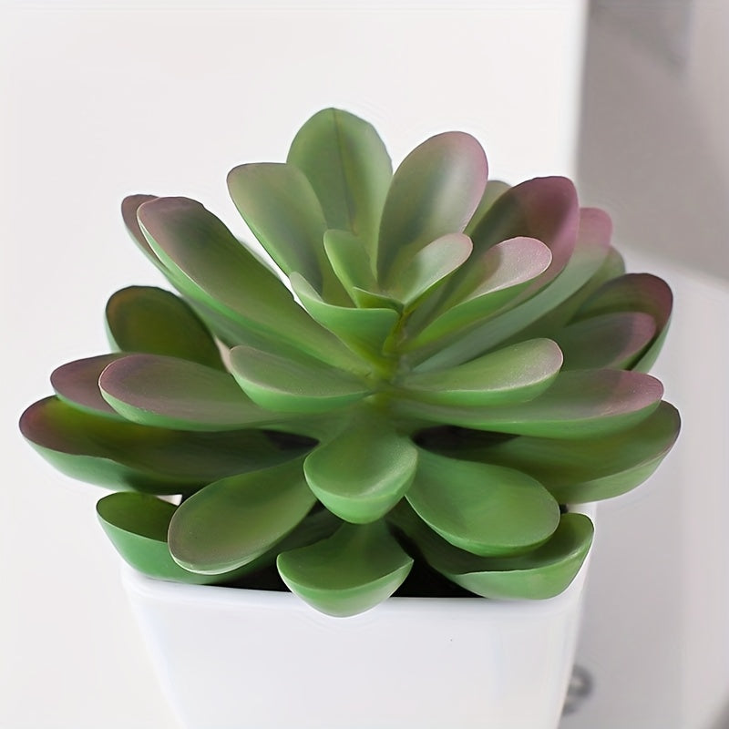 Artificial succulent plants in mini pots, perfect for indoor decoration in offices or rooms.