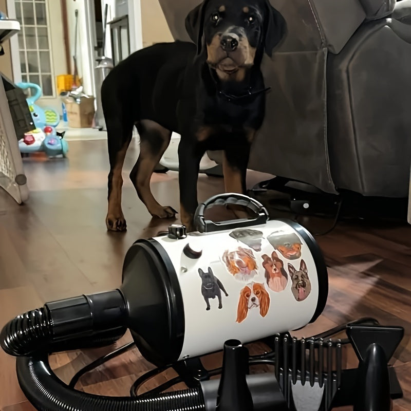 Aookupett Professional Dog Hair Dryer - High-power blower with adjustable heat and speed, includes 4 nozzles for precise grooming.