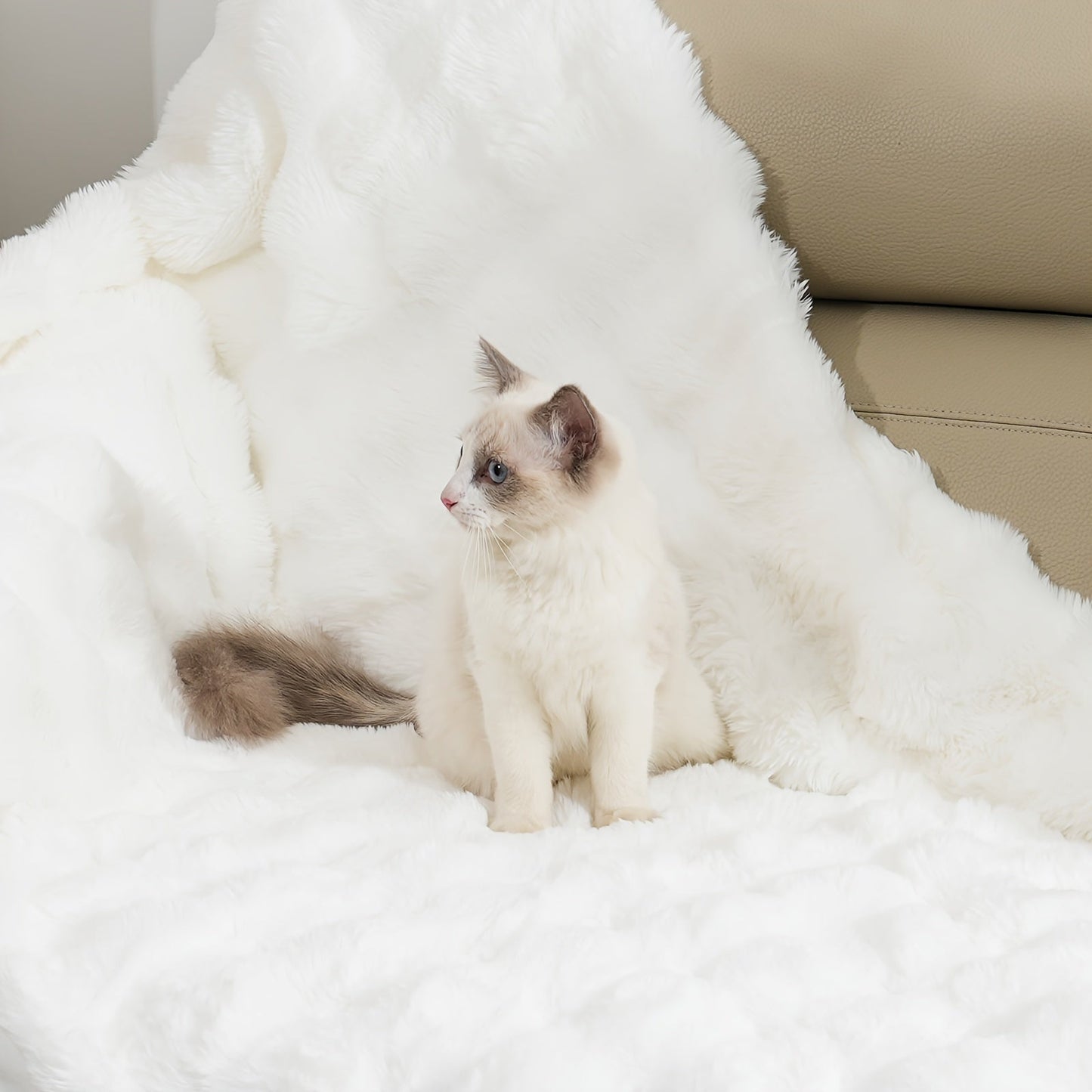 Get cozy with this versatile 1pc Double-sided Rabbit Fleece Blanket. Made with soft faux fur plush material, this solid color blanket is perfect for keeping warm on the couch, sofa, office, bed, camping, or travel. It also makes a great multi-purpose