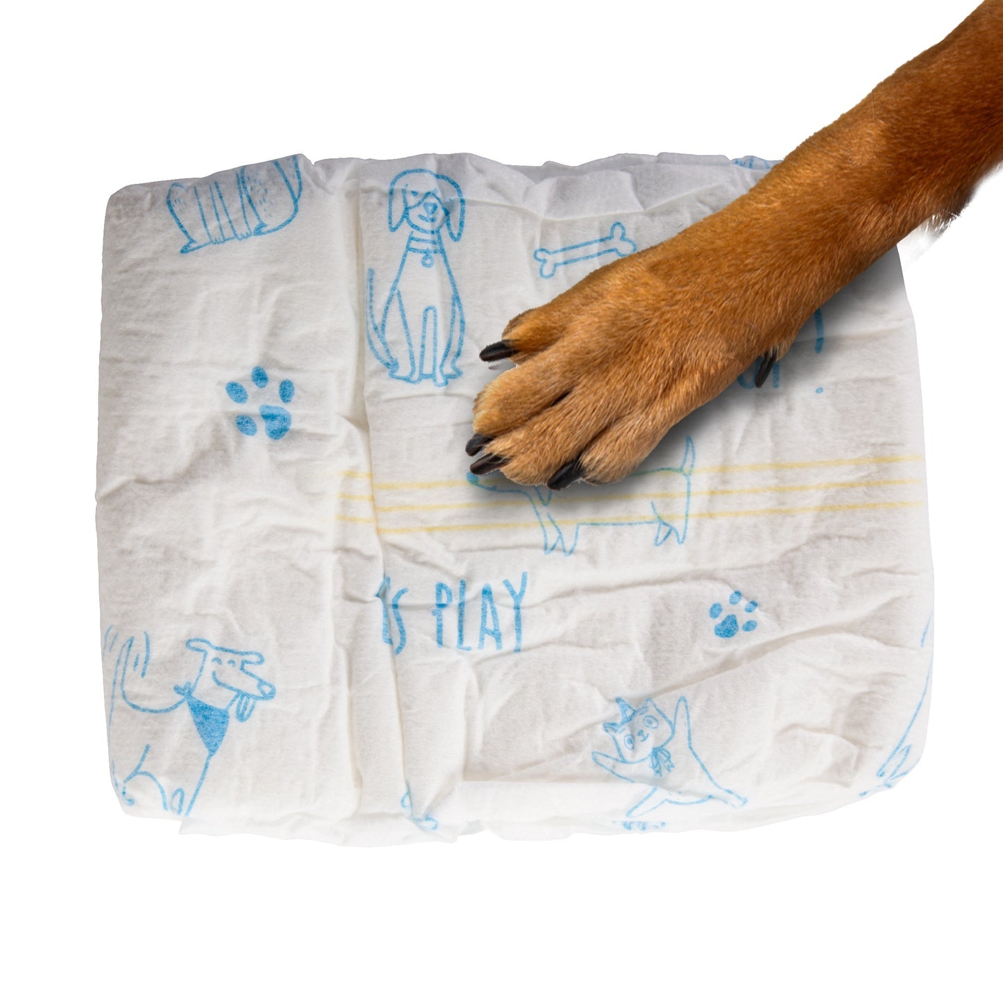 Highly absorbent disposable dog diapers designed for puppies, elderly dogs, incontinence, post-surgery recovery, and reusable options available.