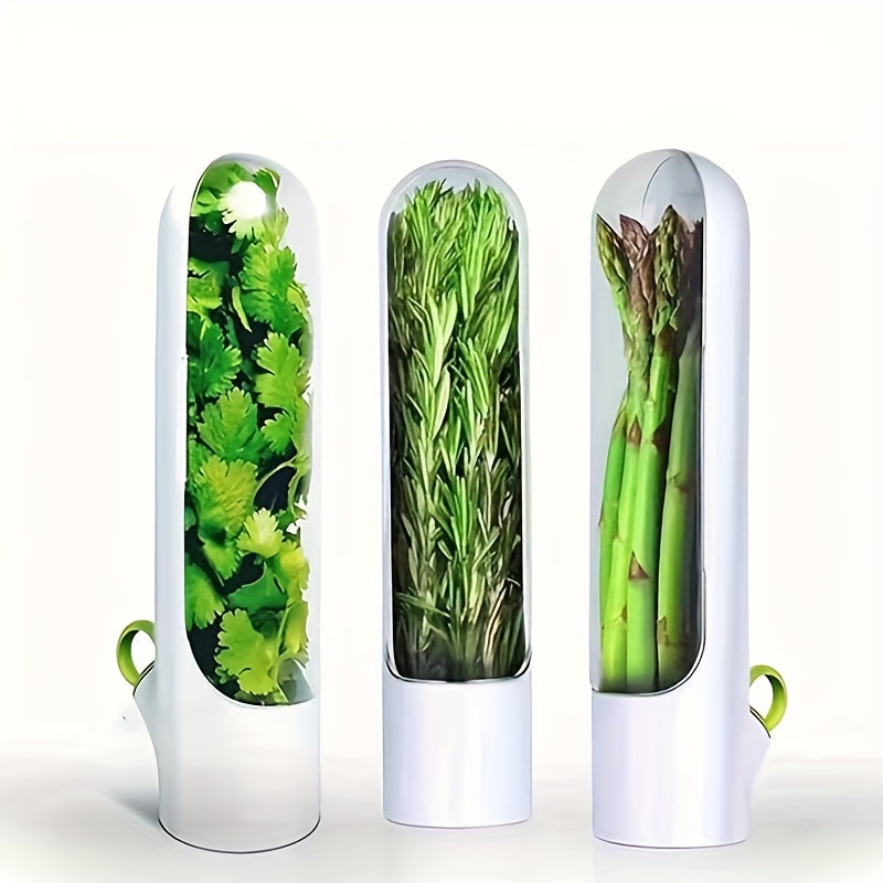 Set of 3 Transparent Containers to Keep Vegetables and Fruits Fresh - Herb Storage Containers, Handy Kitchen Tool for Preserving Freshness for a Short Period of Time