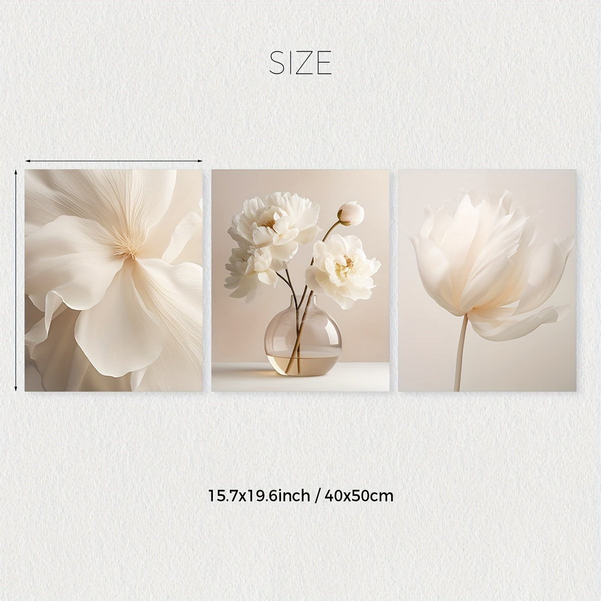 3 white peony flowers wall art prints for modern neutral decor in any room, unframed.