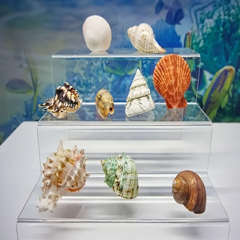 Assorted sizes 0.6cm-1.2cm Natural Conch Shells, 100/300/600pcs for aquariums, suitable for various fish species