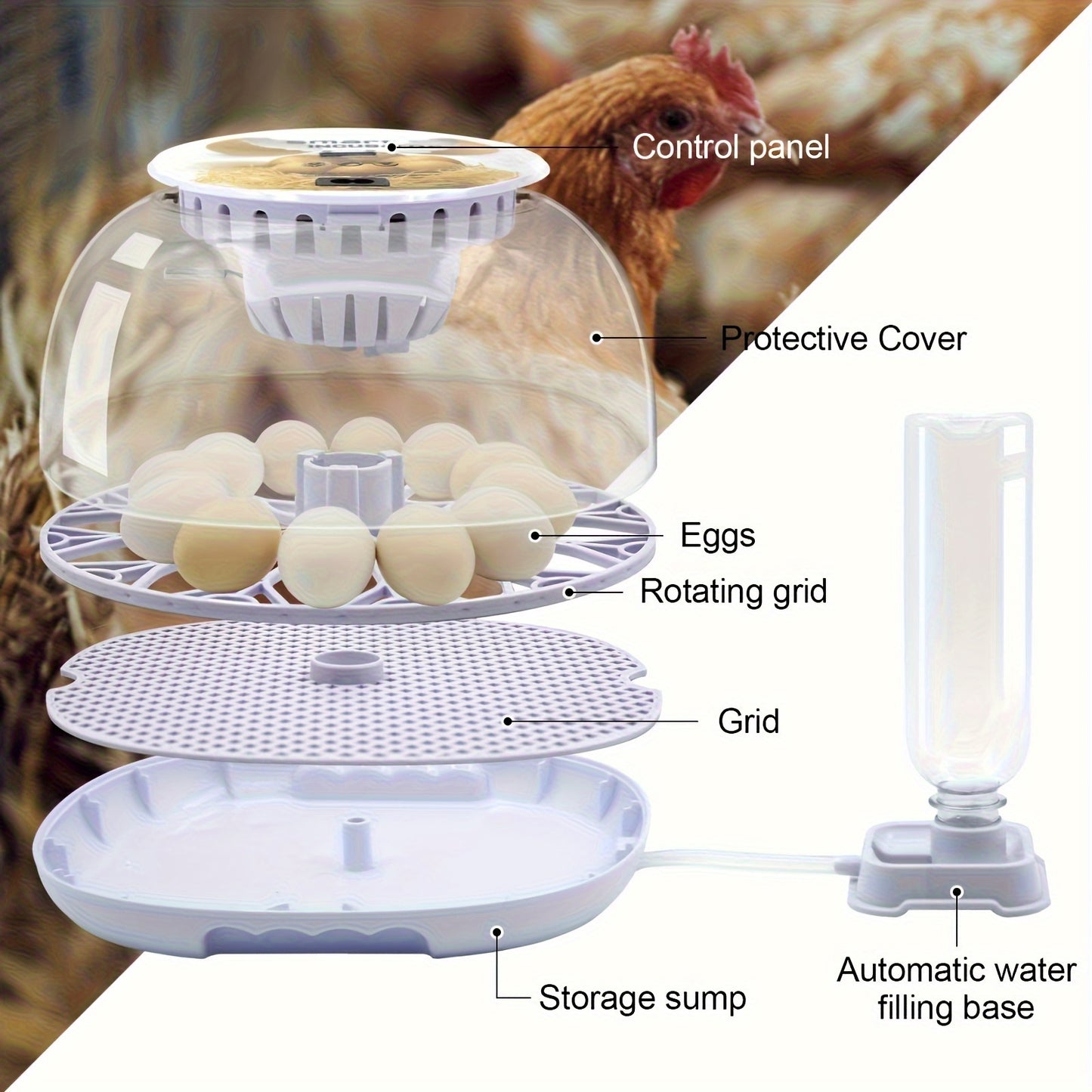 12-egg incubator with automatic turning and temperature control for hatching various bird eggs, suitable for industrial scientific lab use with 220V-240V power supply and European plug.