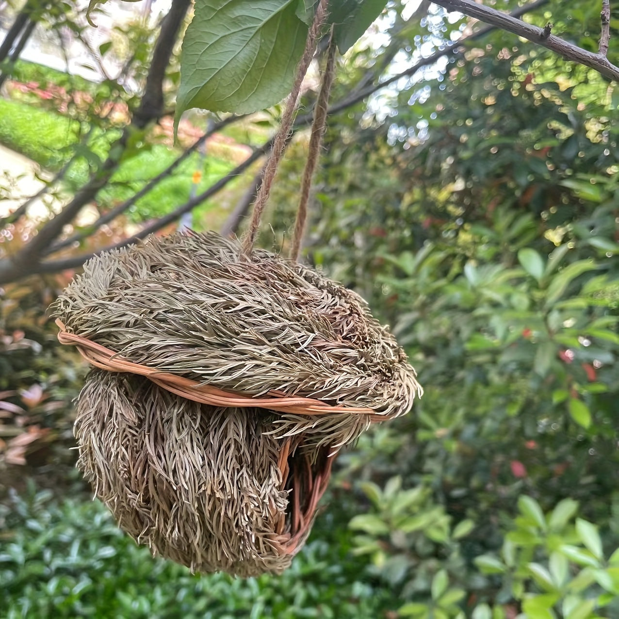 Handmade grass bird nest for small pets, woven with pine needles. Warm and coldproof, ideal hideout in pastoral yard. Aerial charm round bird house.