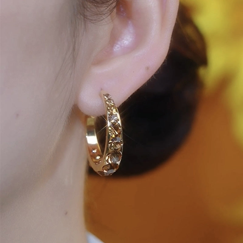 Vintage glitter hoop earrings with rhinestone inlay and 925 silver post, perfect for daily wear and parties.