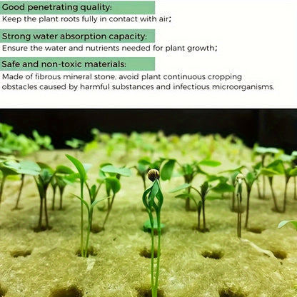 Rockwool Starter Cubes for Plant Propagation and Seed Starting in 100/200/300pcs packs.