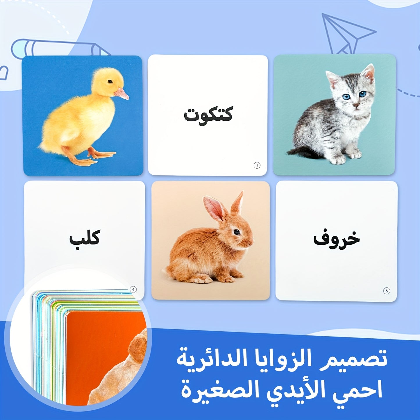 TEENYBABY 54-Card Arabic Language Learning Flashcards for Kids, Educational Animal Cards for Children Ages 1-6, Published by Sunshine Children'S Educational Association on 2023-09-22