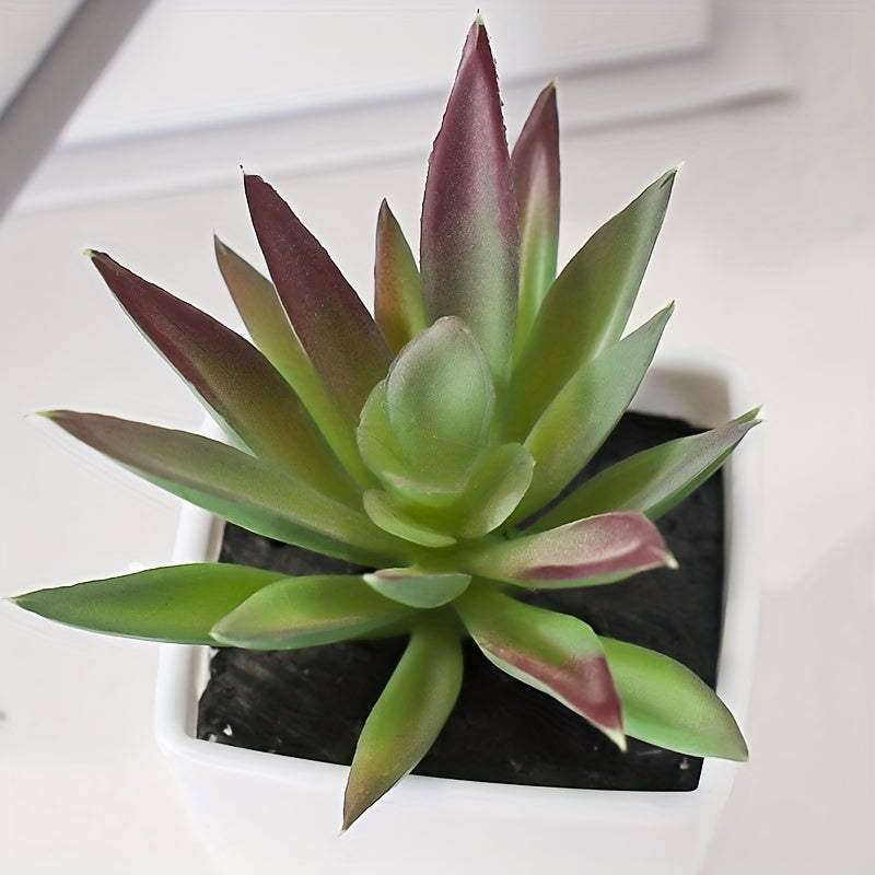 Artificial succulent plants in mini pots, perfect for indoor decoration in offices or rooms.